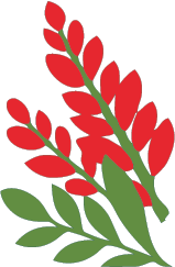 Carefully Crafted Botanical Products